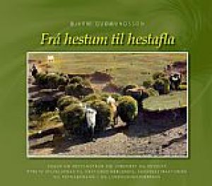 Mynd sem tengist textanum