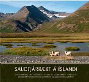 Mynd sem tengist textanum