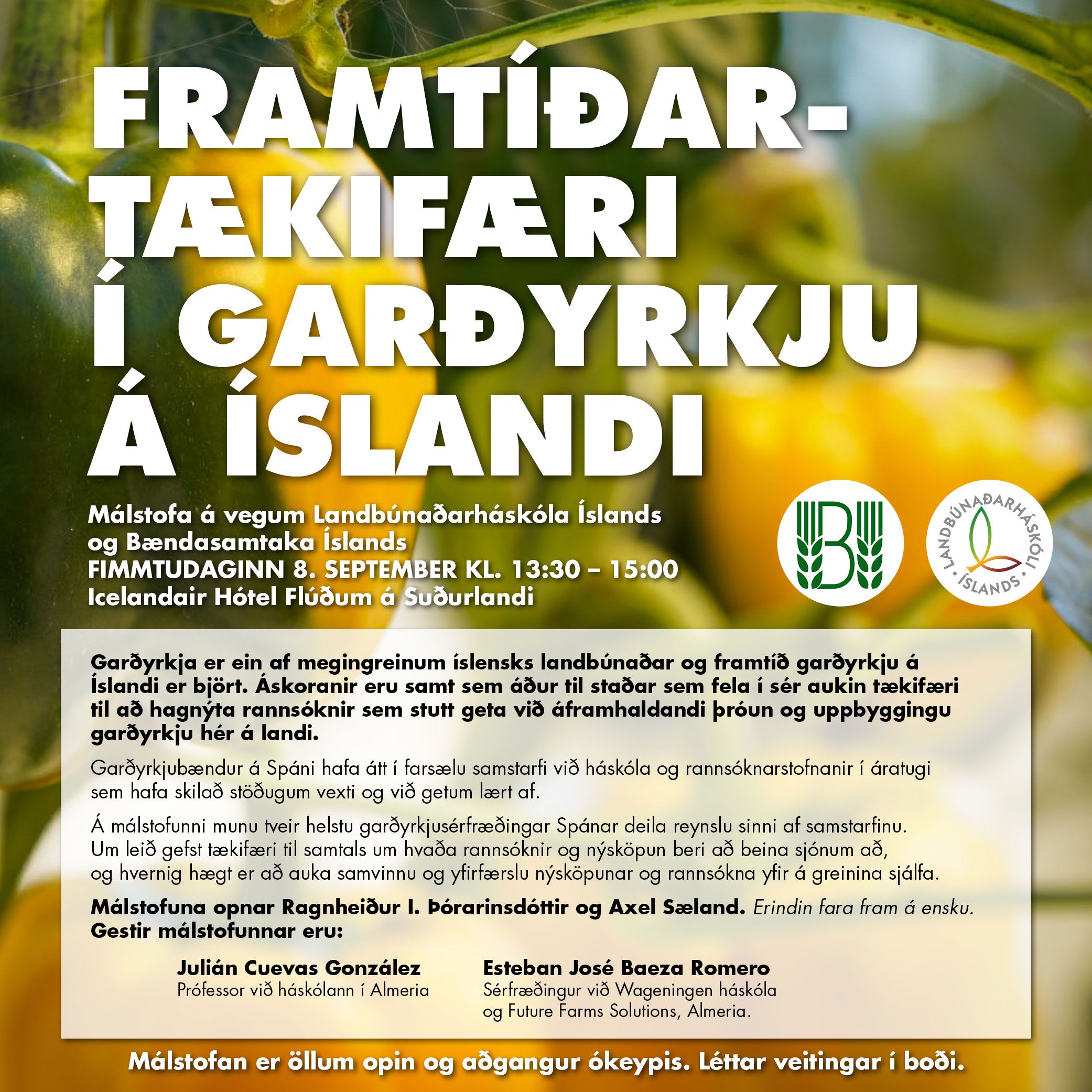 Mynd sem tengist textanum
