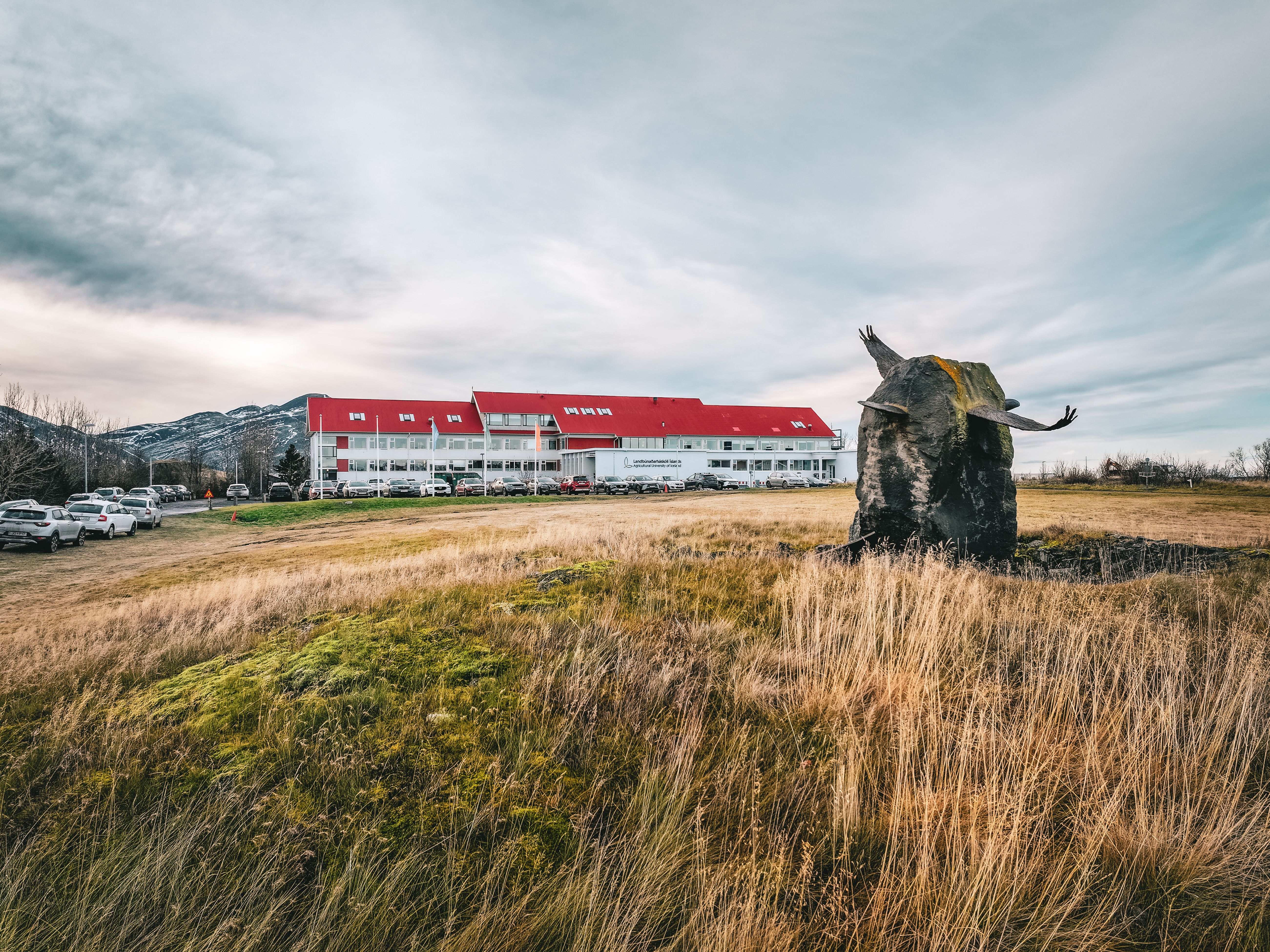 Mynd sem tengist textanum