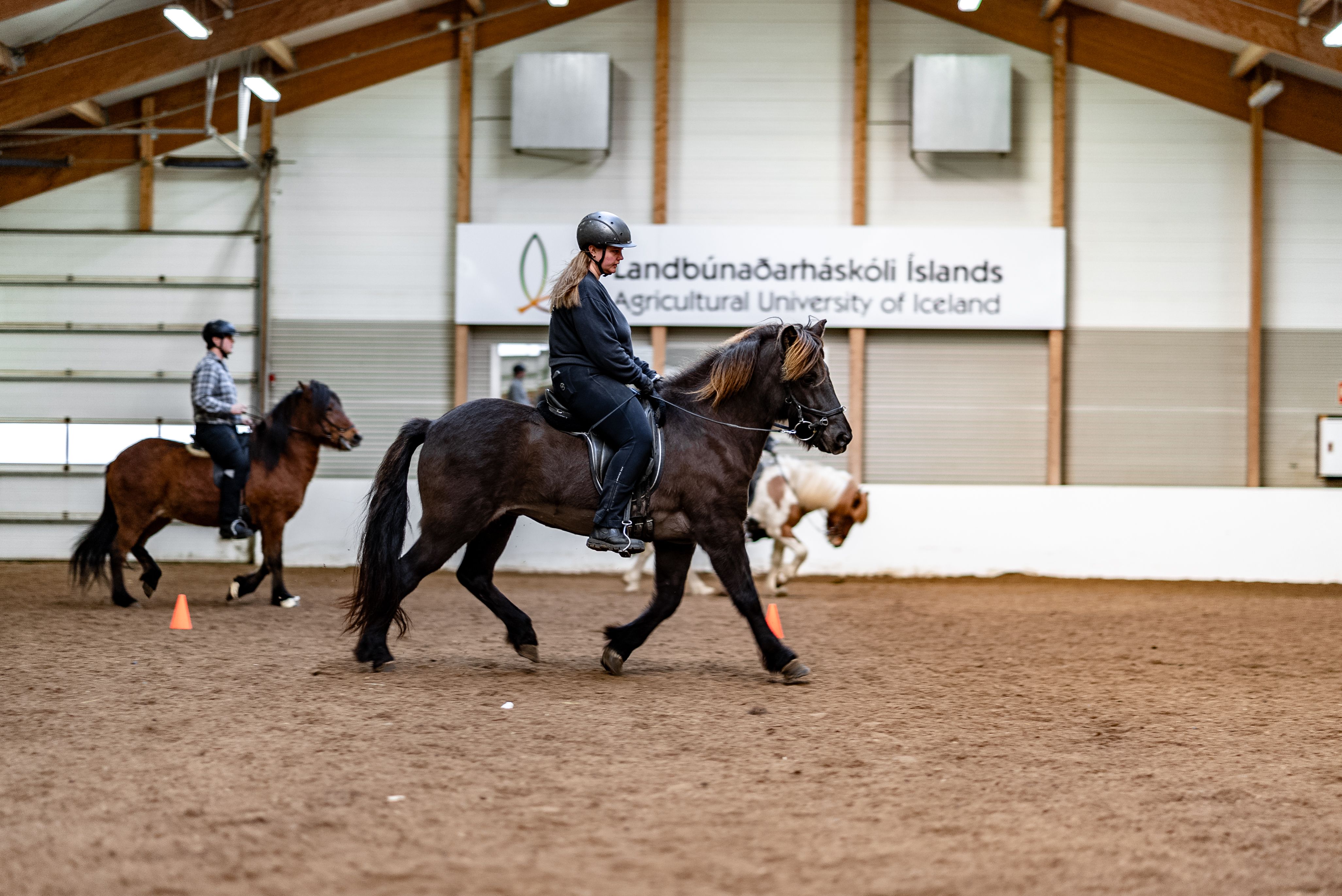 Mynd sem tengist textanum