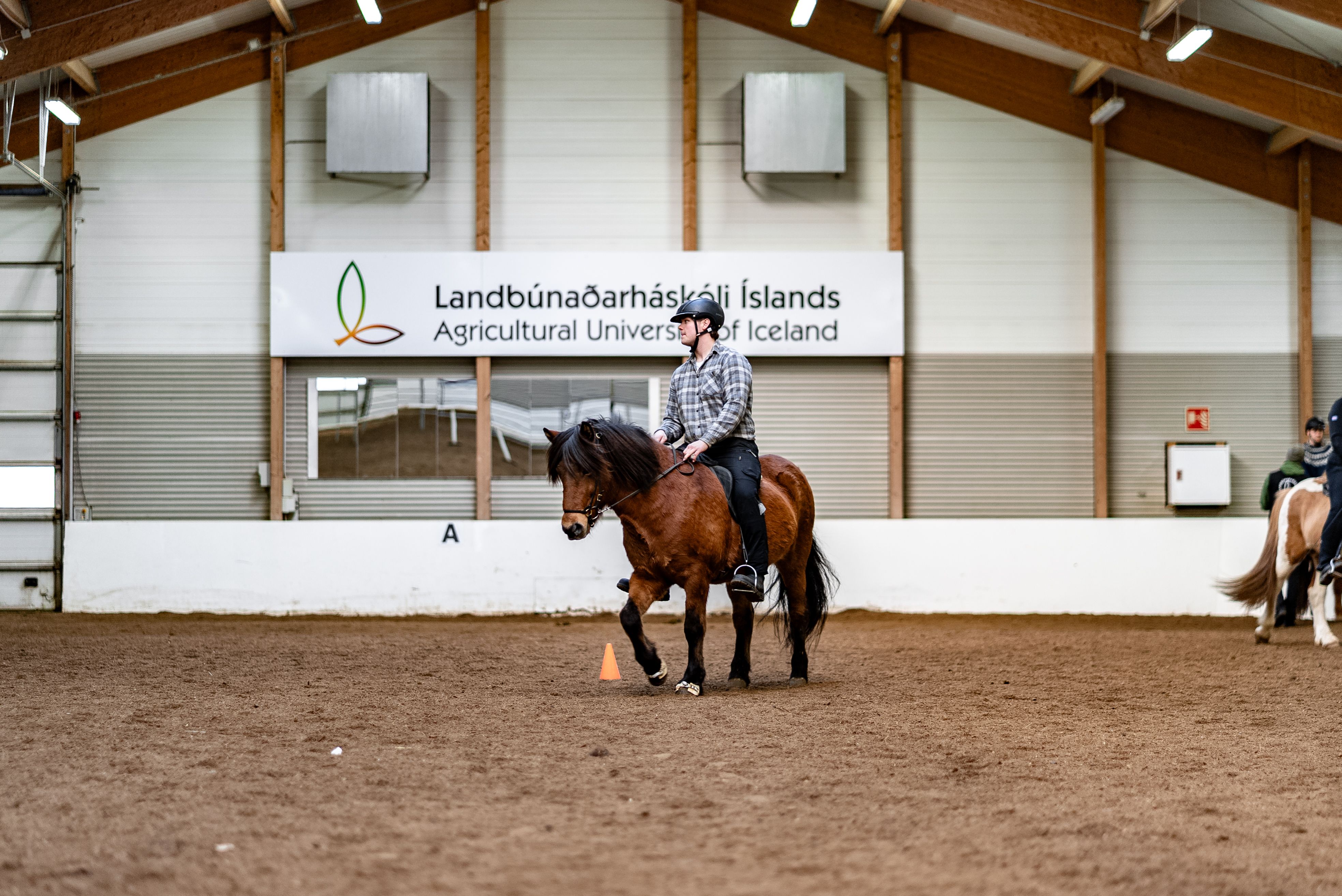 Mynd sem tengist textanum