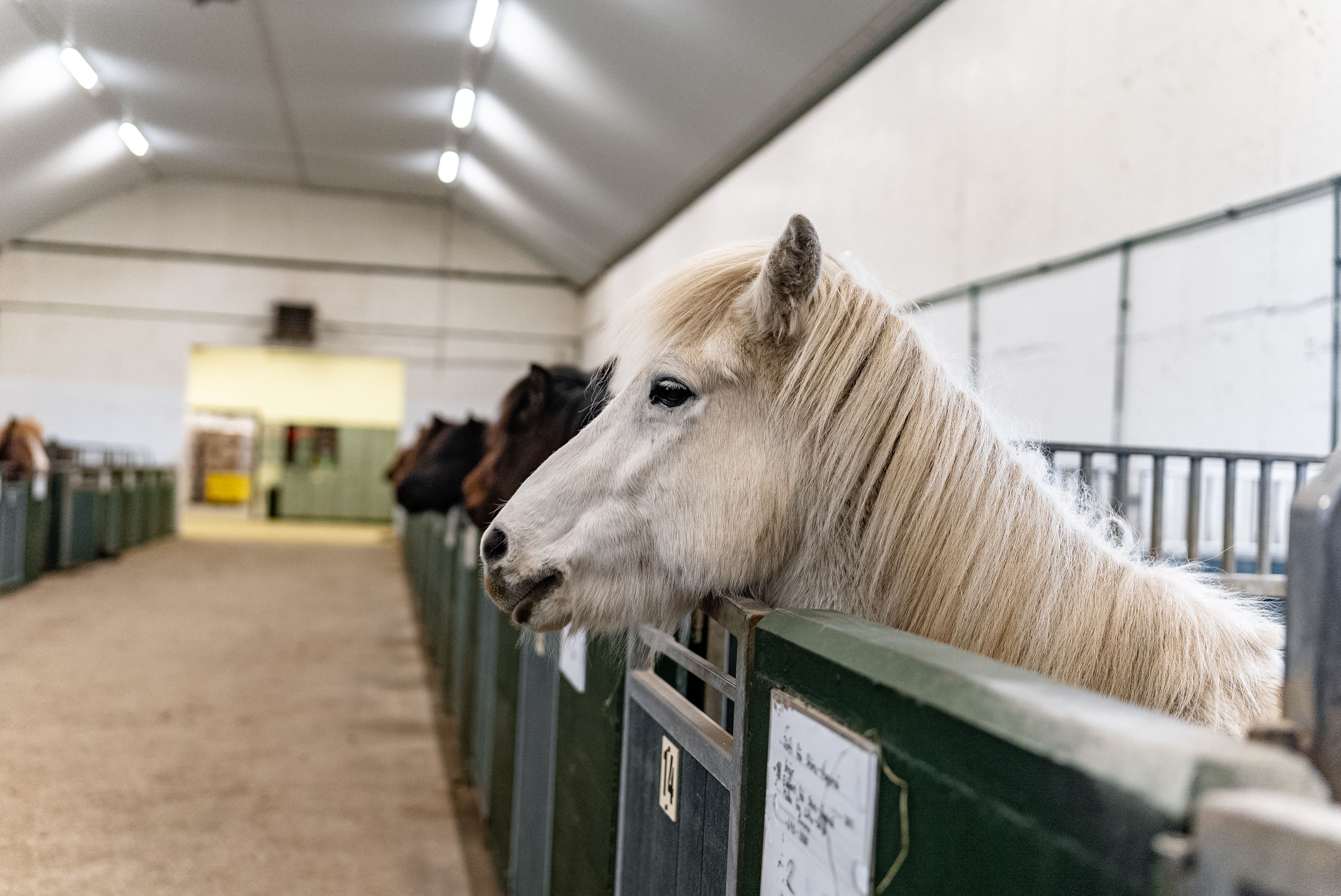 Mynd sem tengist textanum