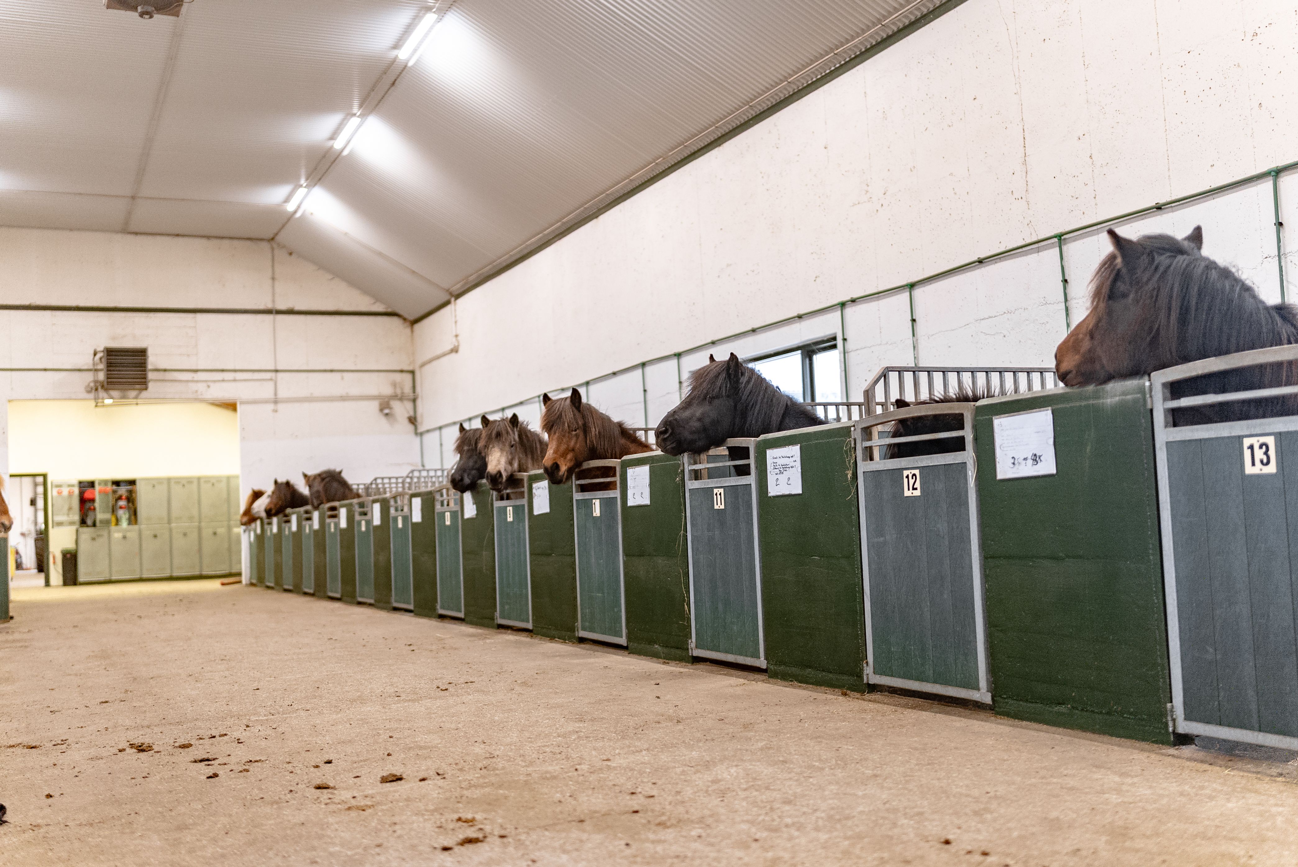 Mynd sem tengist textanum