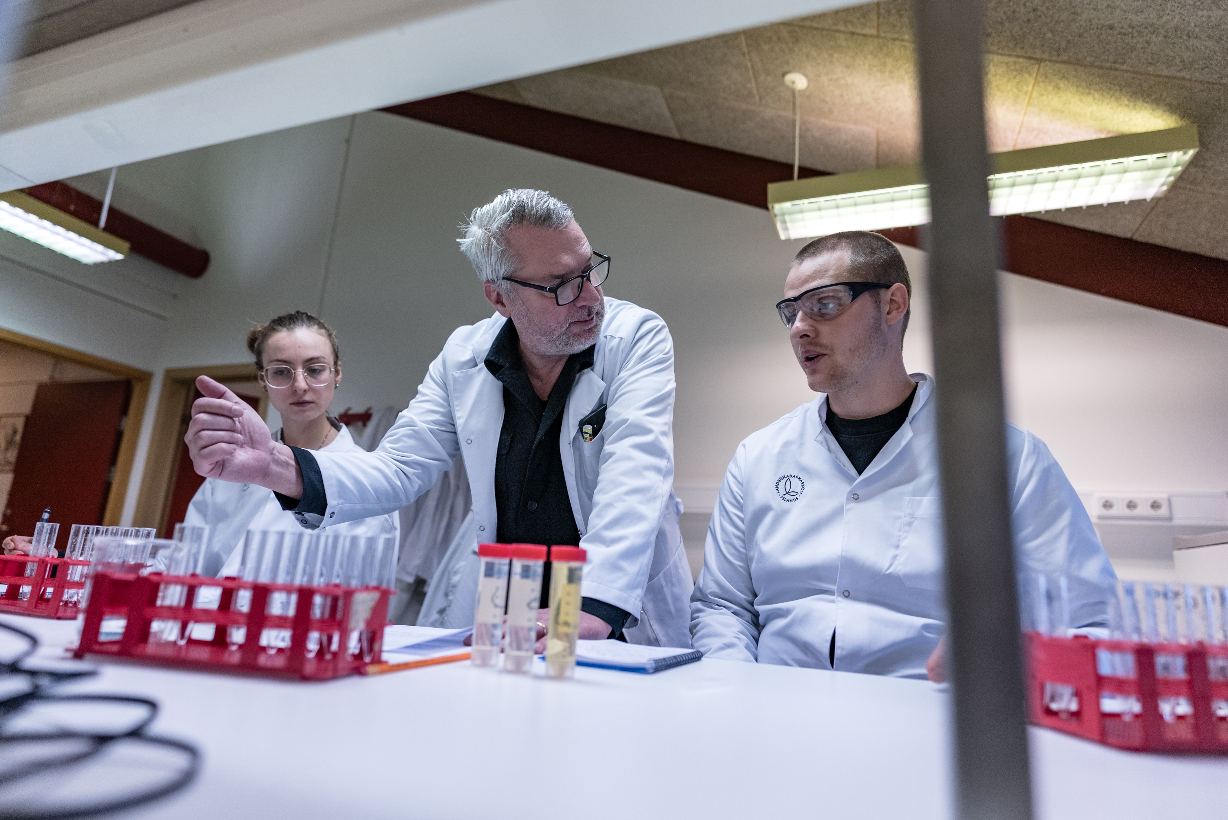 Mynd sem tengist textanum