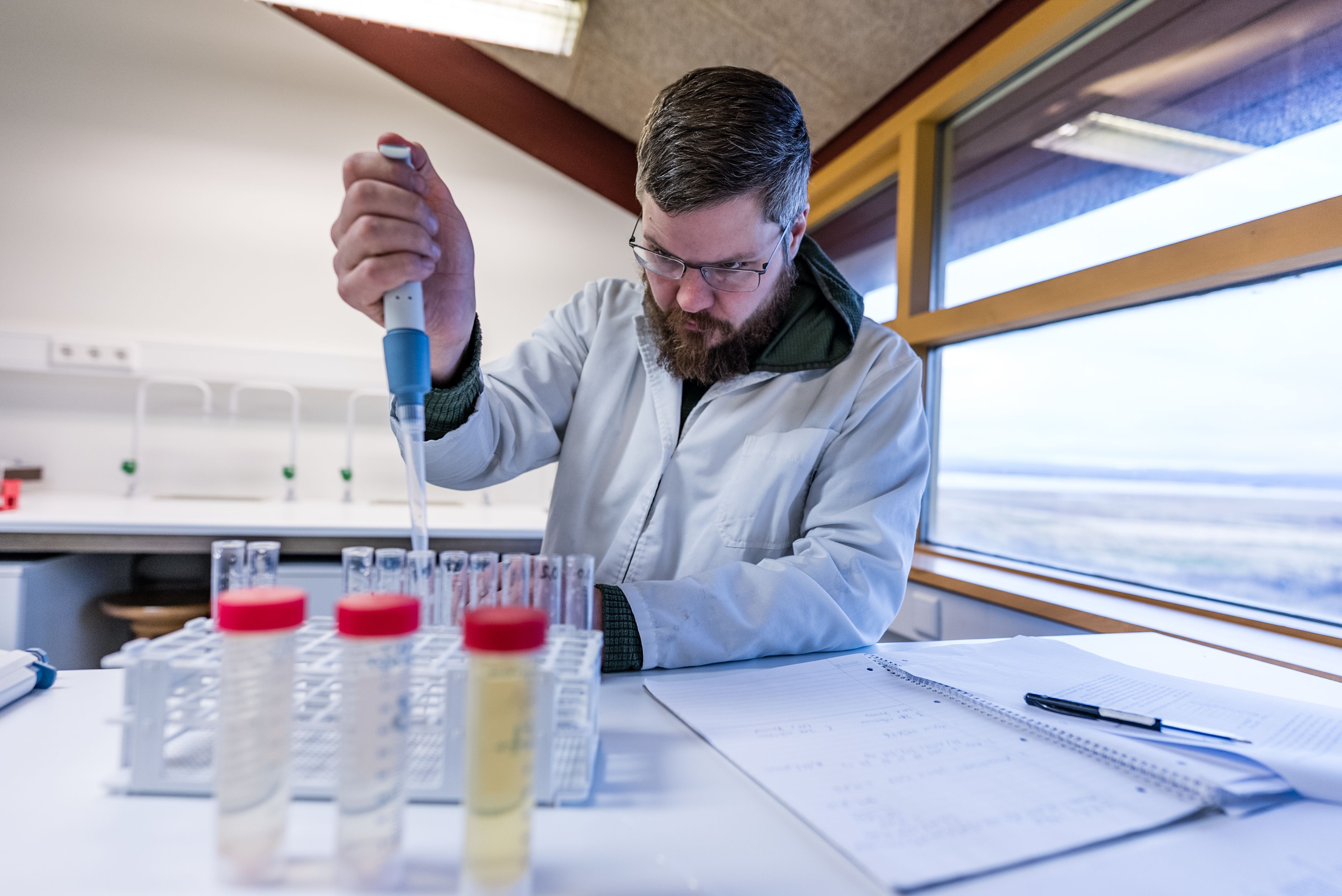 Mynd sem tengist textanum