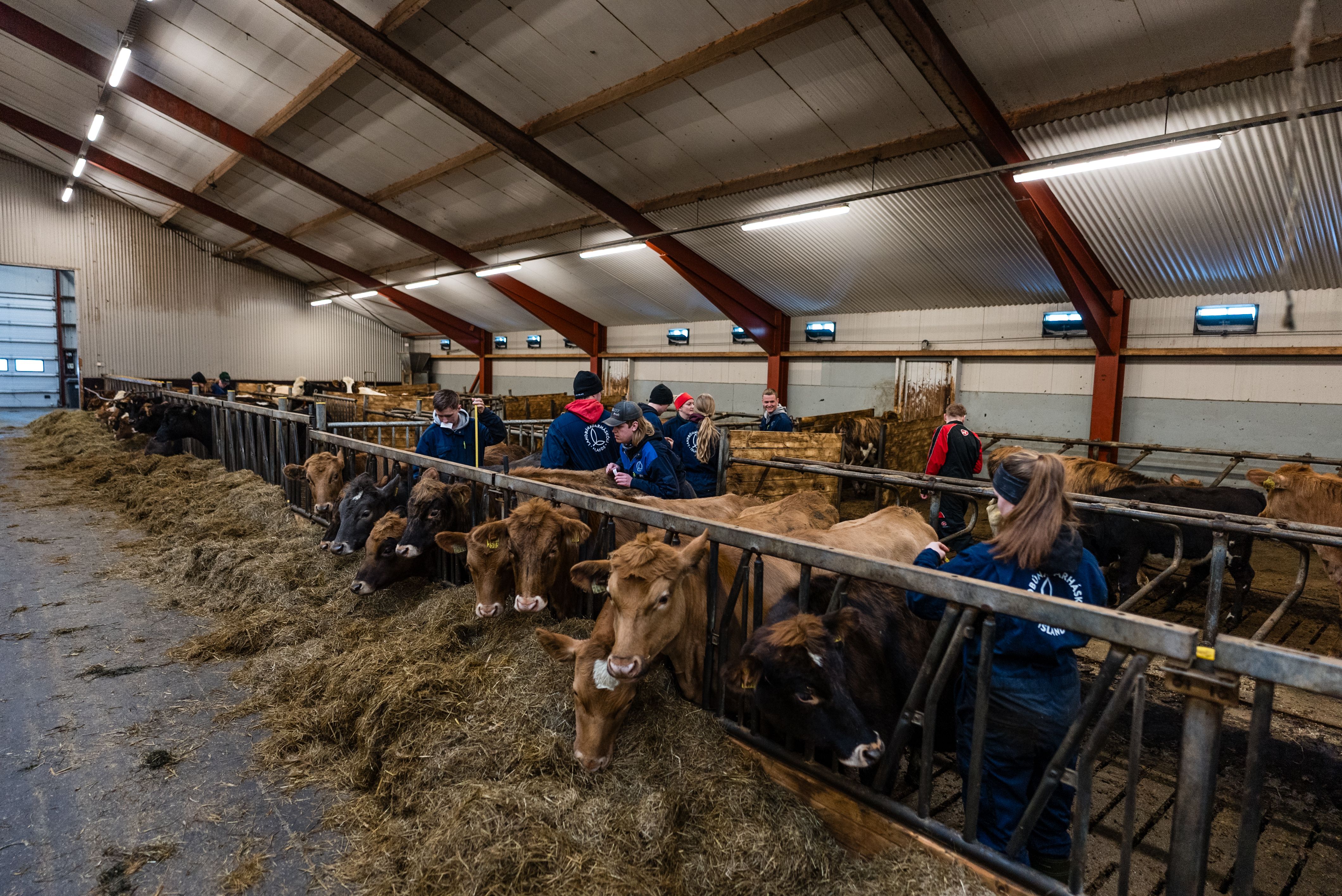 Mynd sem tengist textanum