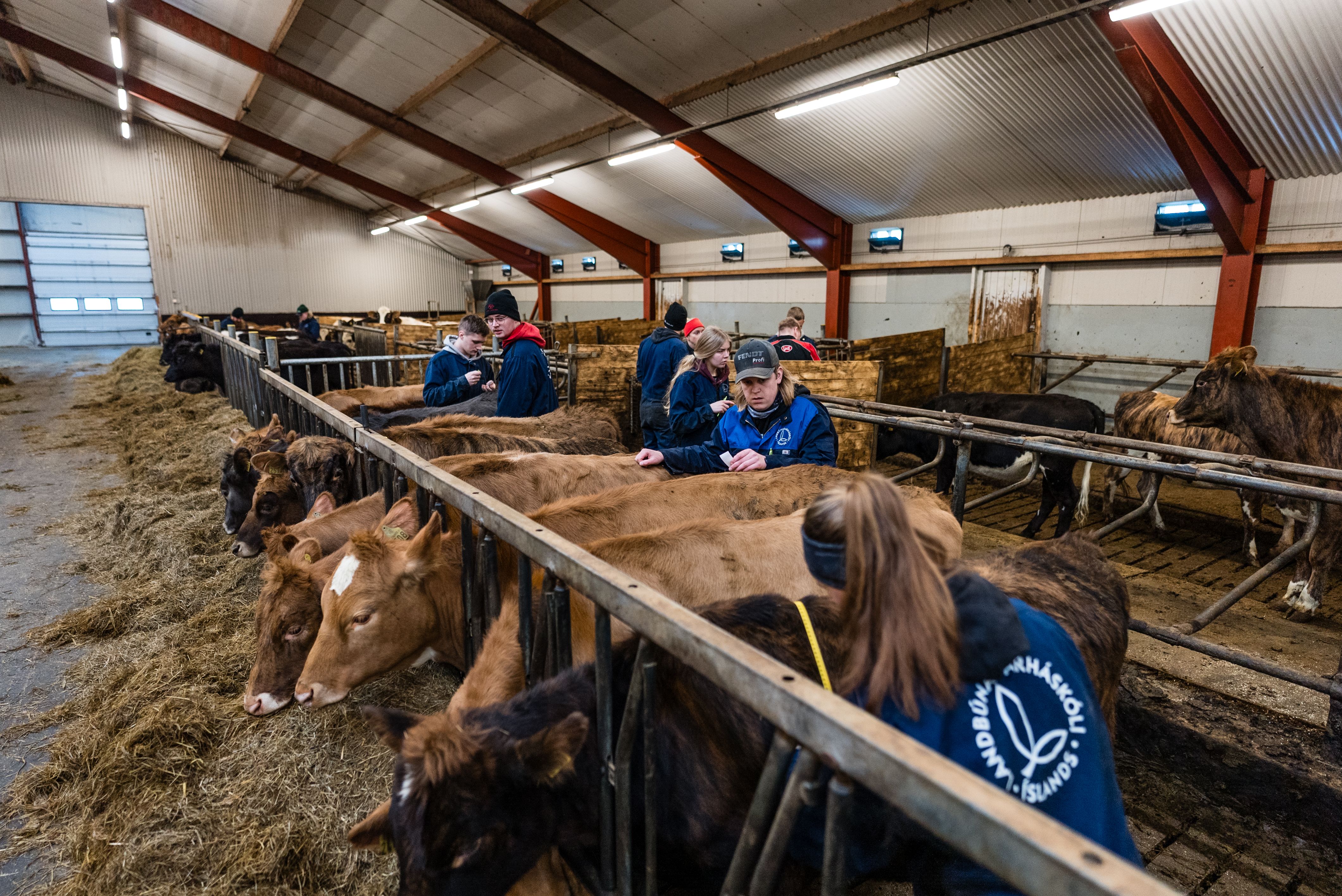 Mynd sem tengist textanum