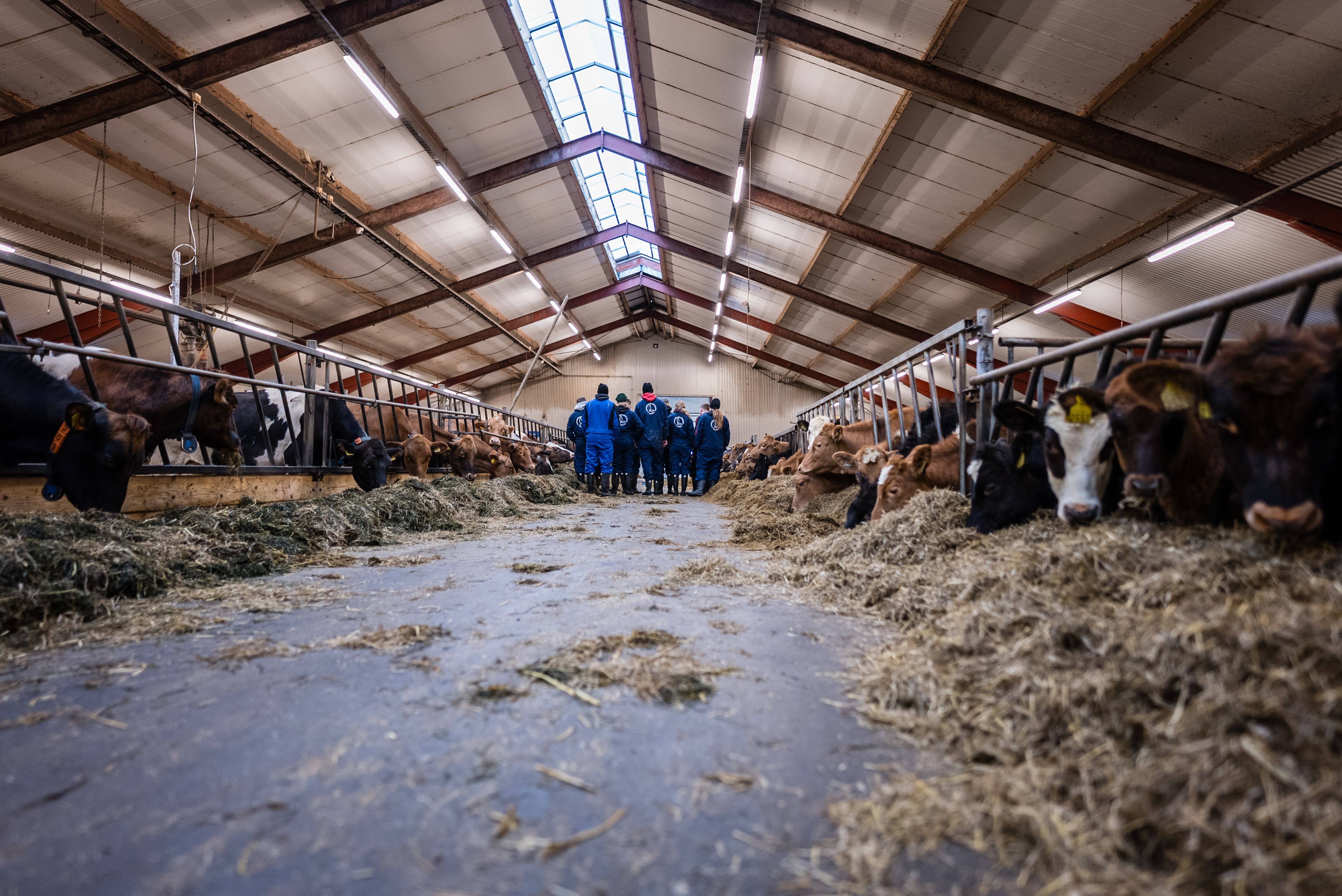 Mynd sem tengist textanum