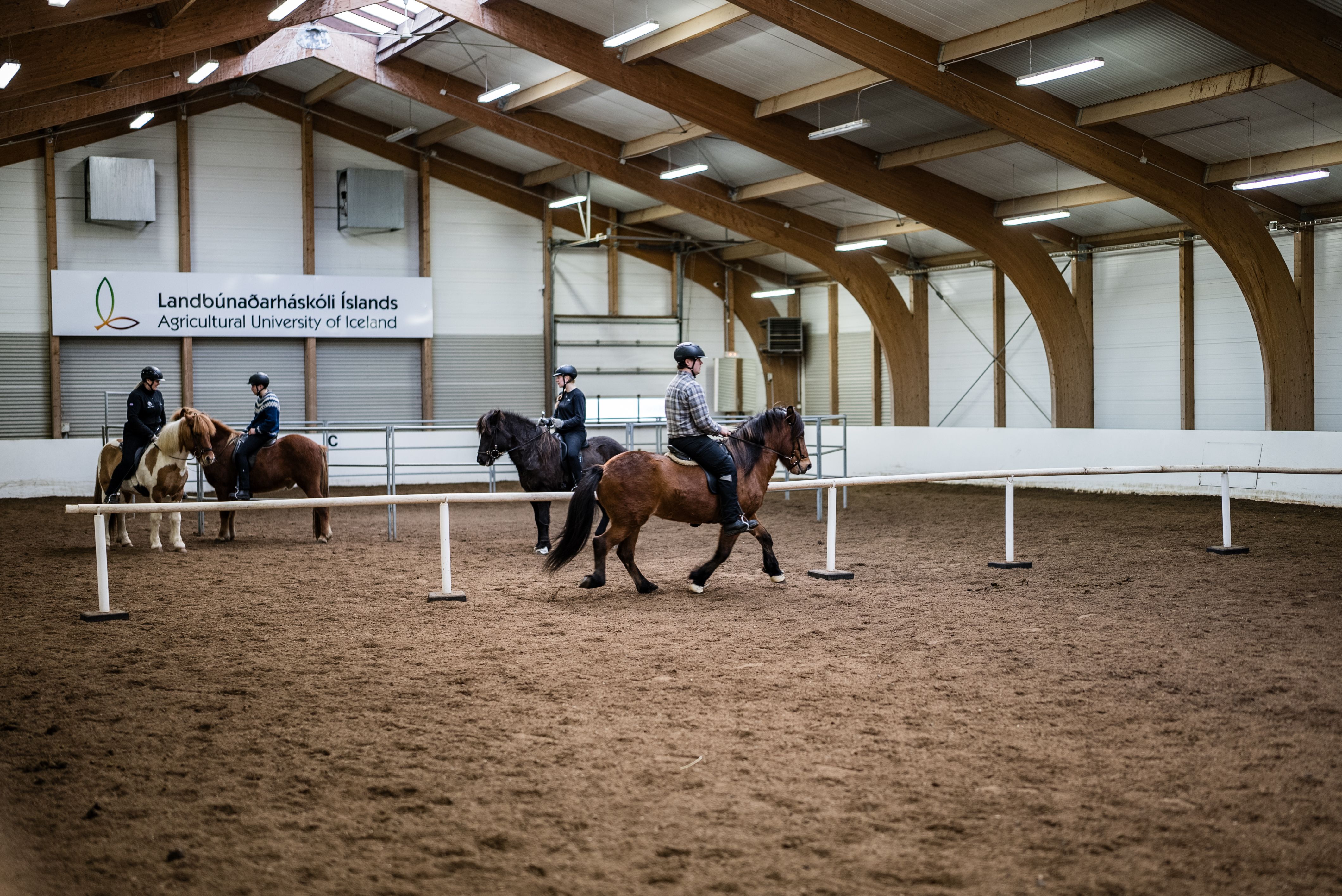 Mynd sem tengist textanum