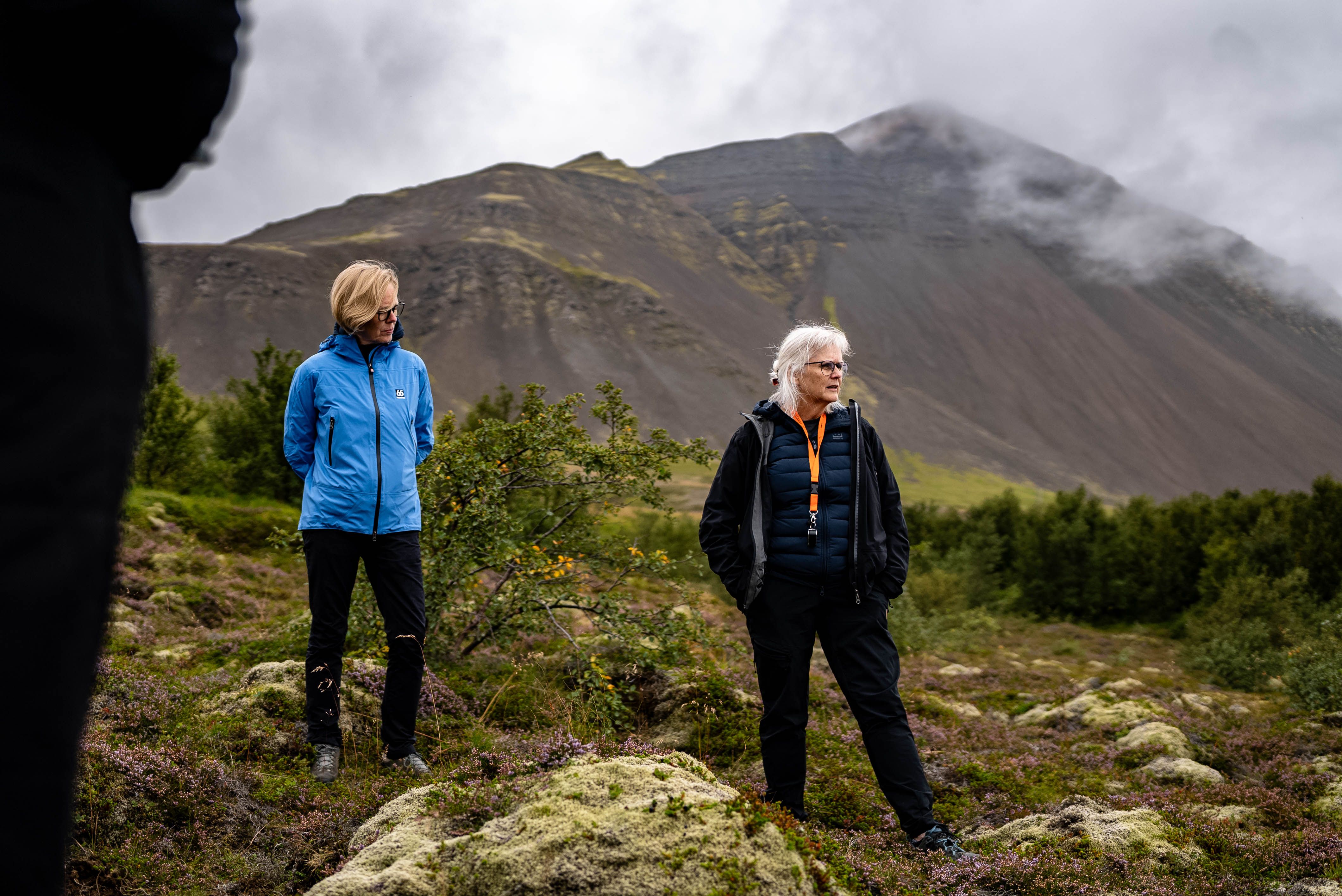 Mynd sem tengist textanum