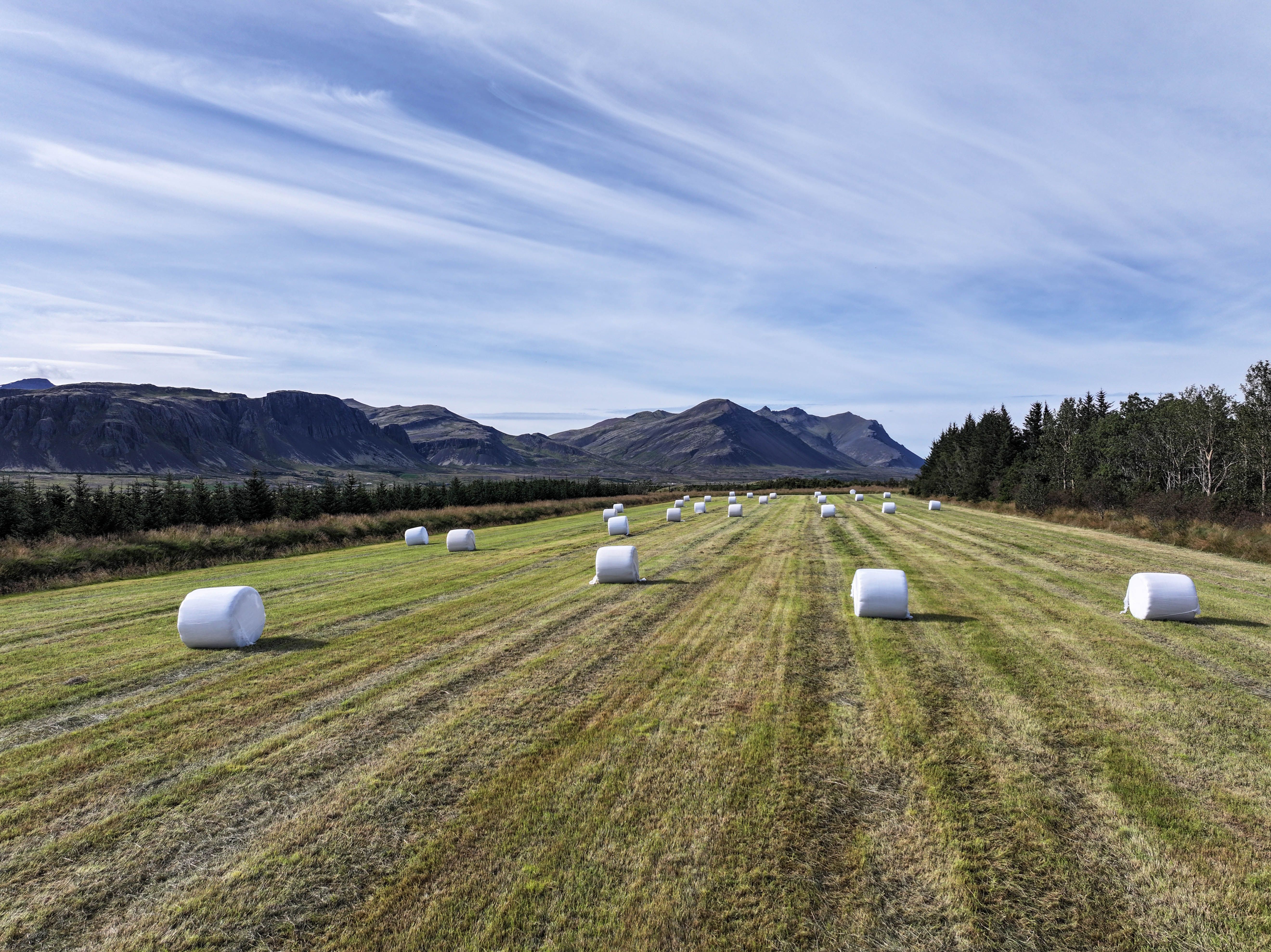 Mynd sem tengist textanum