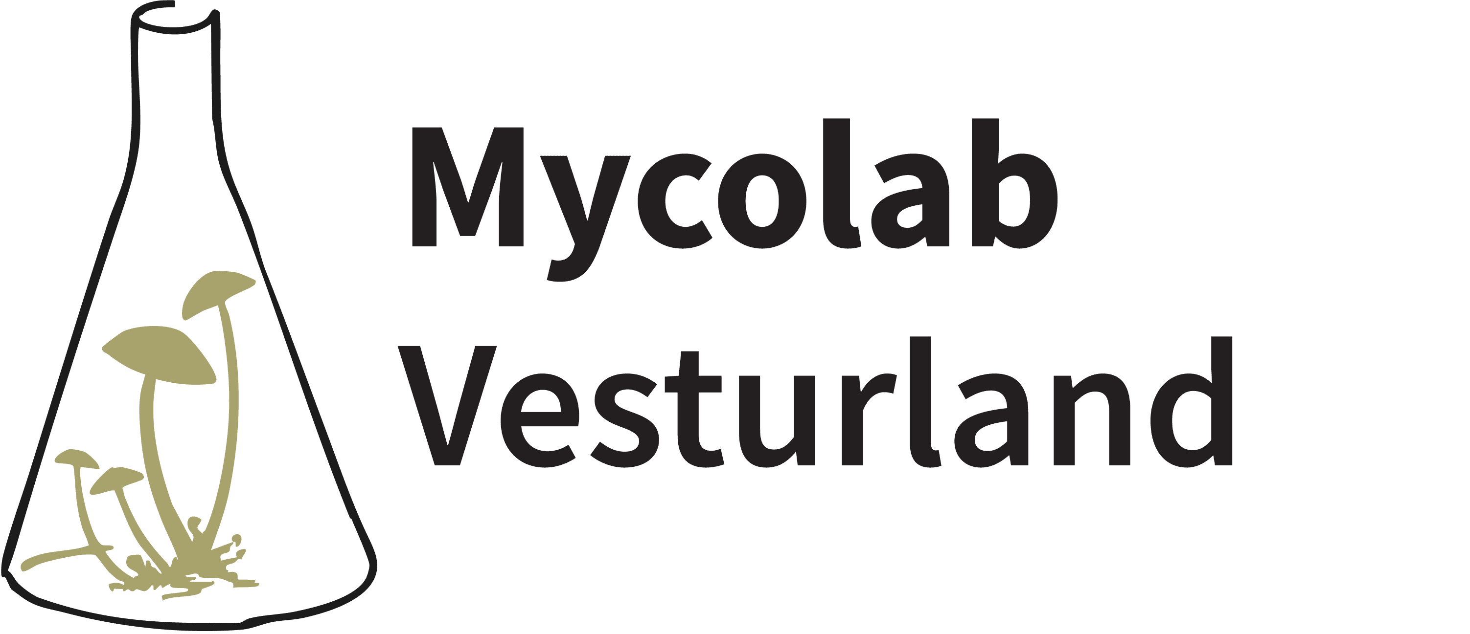 Mynd sem tengist textanum