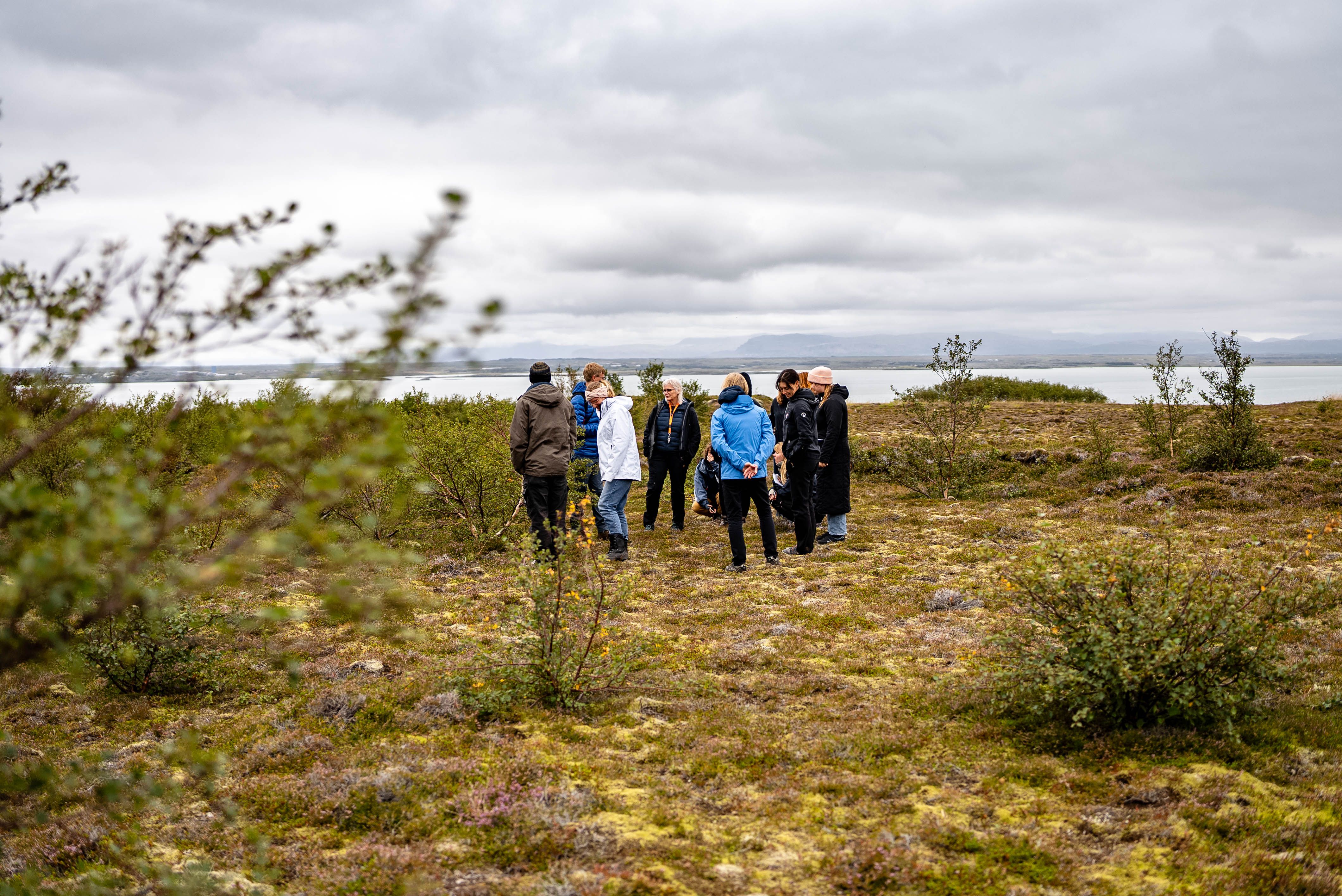 Mynd sem tengist textanum