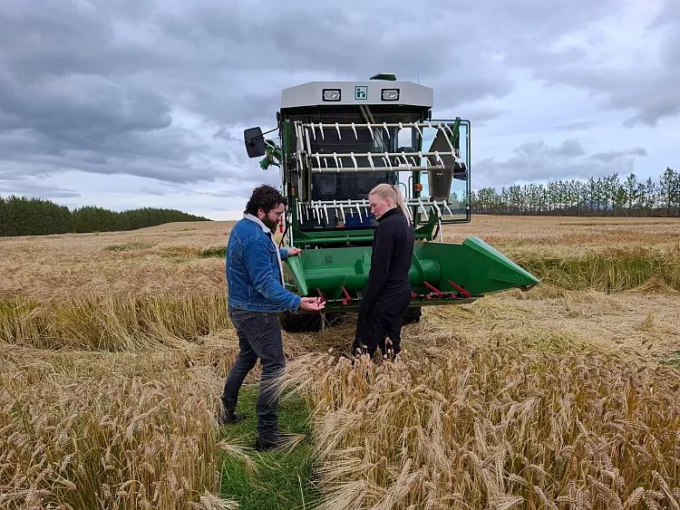 Mynd sem tengist textanum