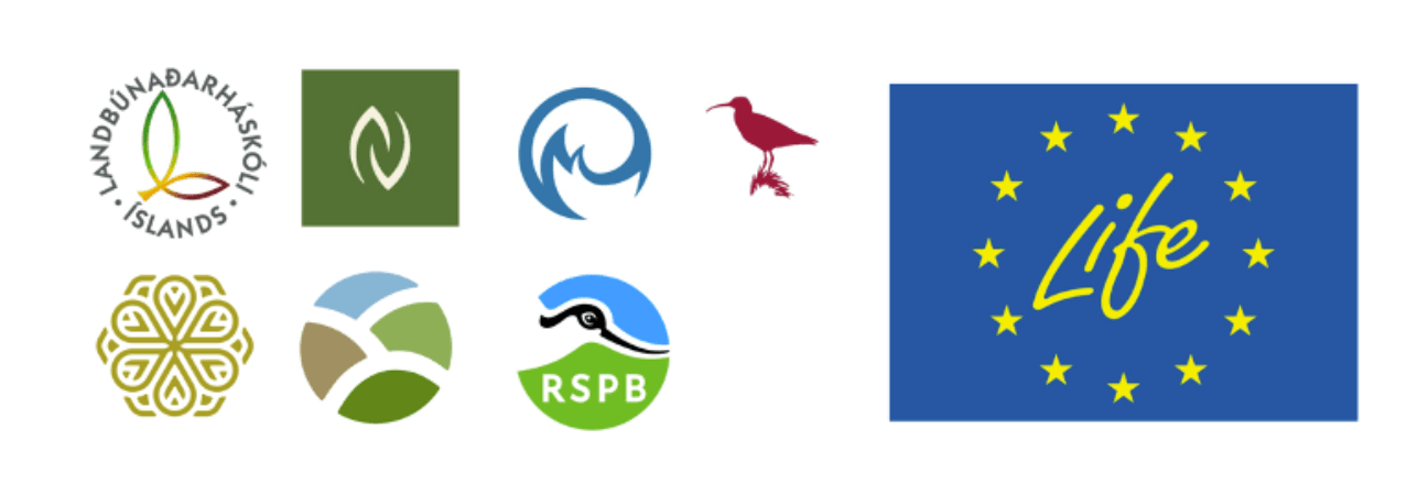 Mynd sem tengist textanum