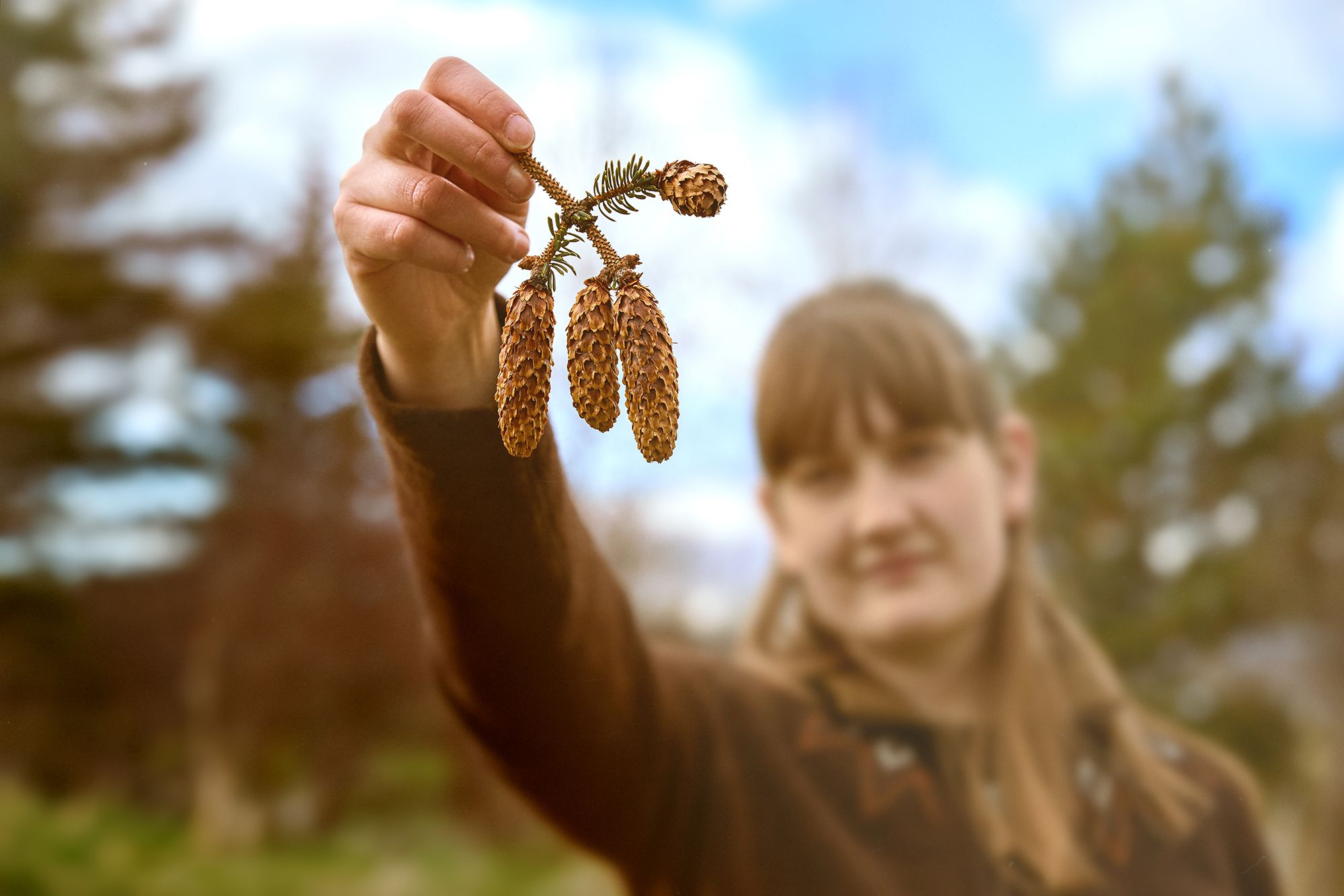 Mynd sem tengist textanum