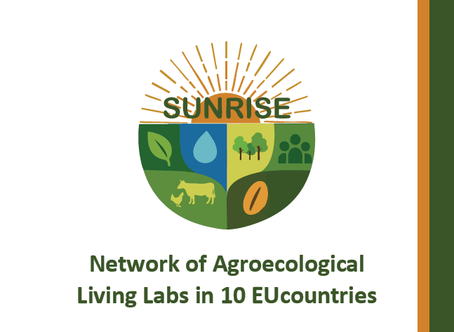 Mynd sem tengist textanum