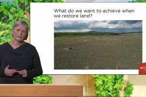 Mynd sem tengist textanum