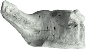 Mynd sem tengist textanum