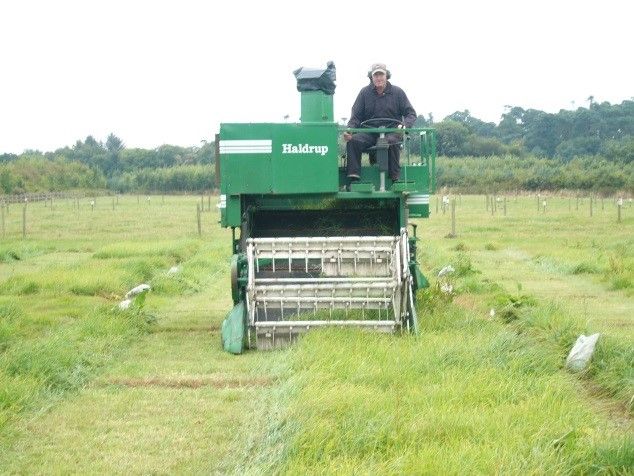 Mynd sem tengist textanum