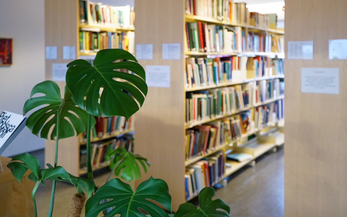 Mynd sem tengist textanum