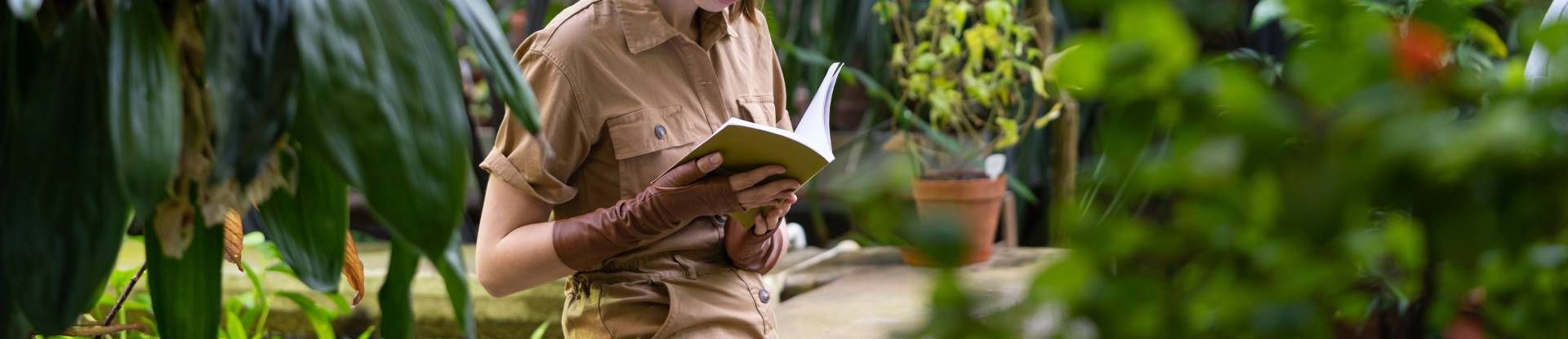 Mynd sem tengist textanum