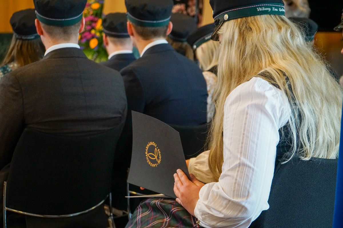 Mynd sem tengist textanum