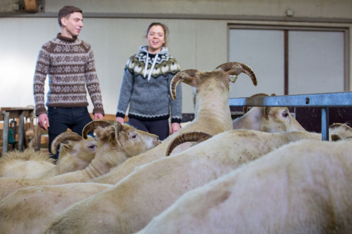 Mynd sem tengist textanum