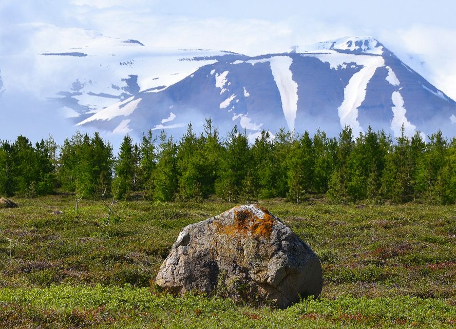 Mynd sem tengist textanum