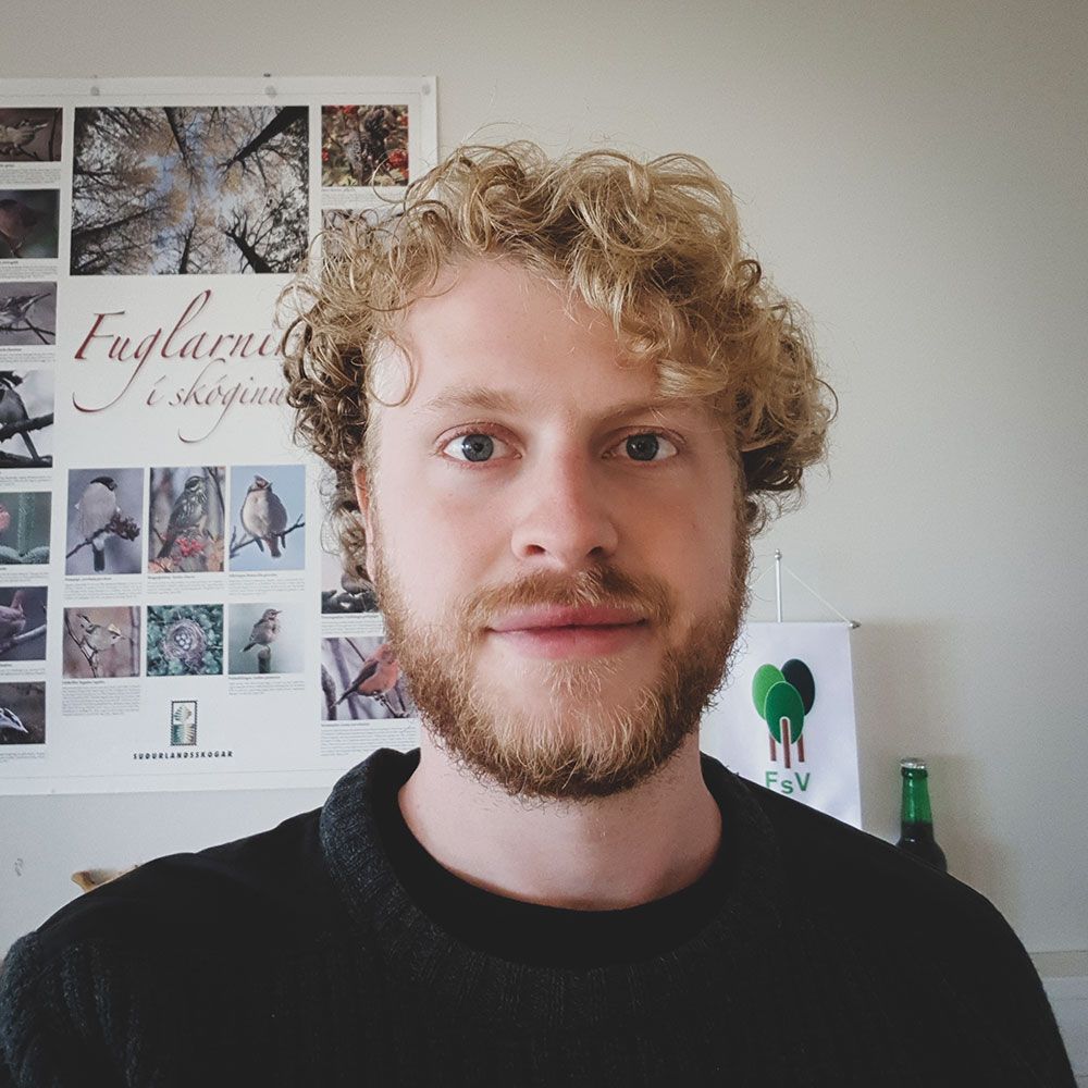 Mynd sem tengist textanum