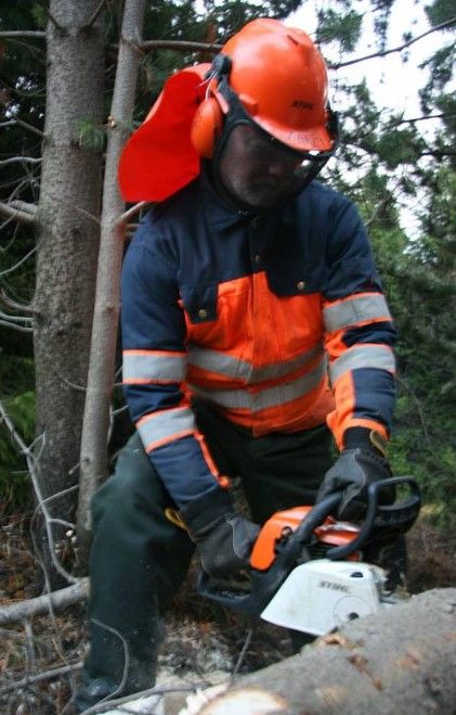 Mynd sem tengist textanum