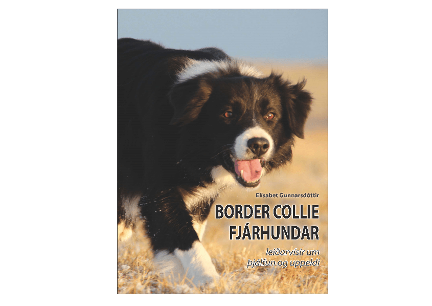 Mynd sem tengist textanum