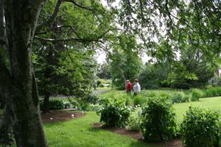 Mynd sem tengist textanum