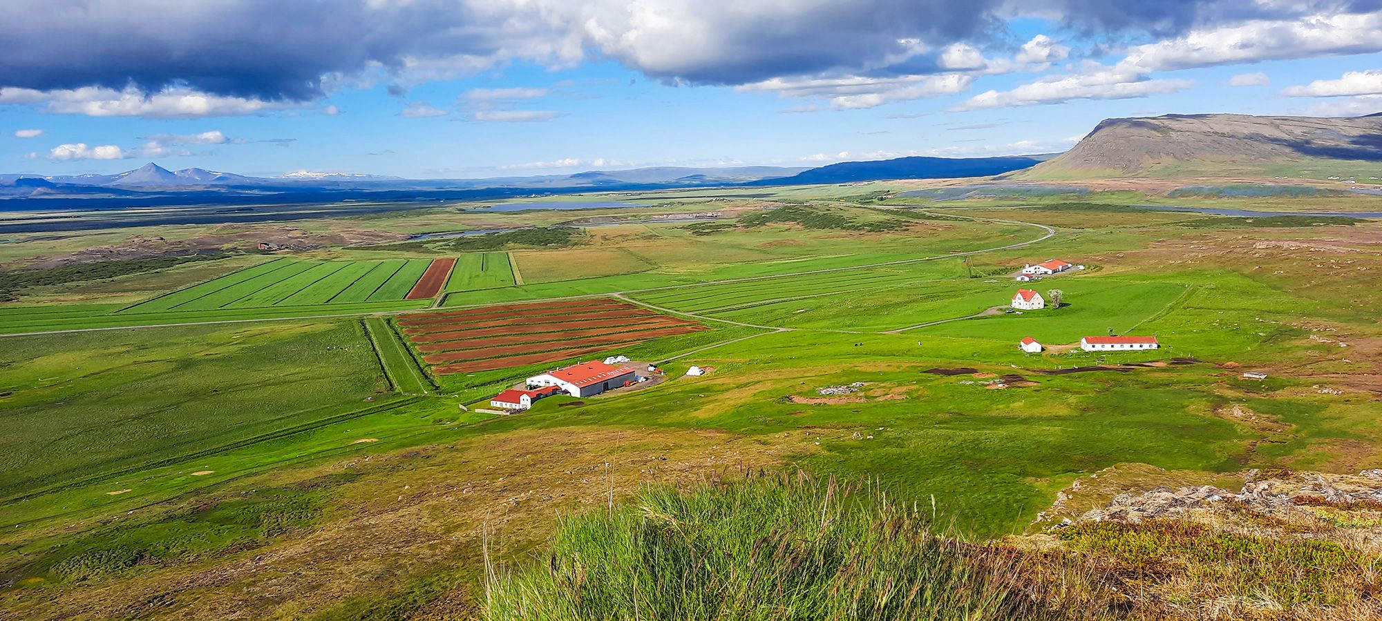 Mynd sem tengist textanum