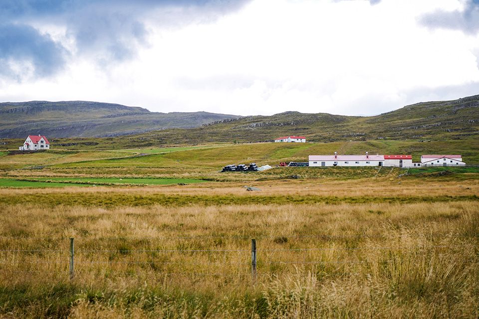 Fagþing sauðfjárræktarinnar og ráðstefna í tilefni 80 ára afmælis Tilraunabúsins á Hesti