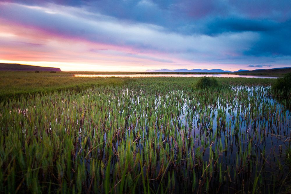 Mynd sem tengist textanum