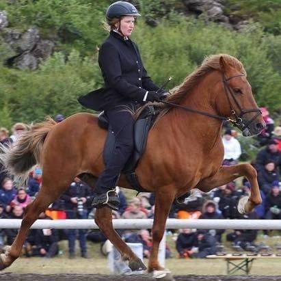 Mynd sem tengist textanum