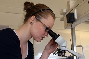 Mynd sem tengist textanum