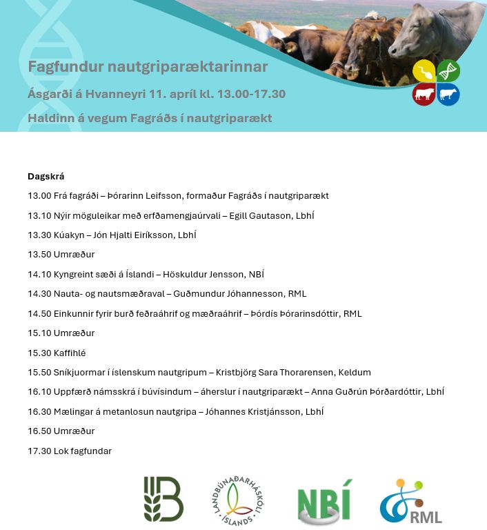 Mynd sem tengist textanum