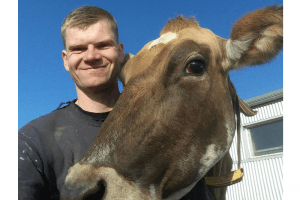 Mynd sem tengist textanum