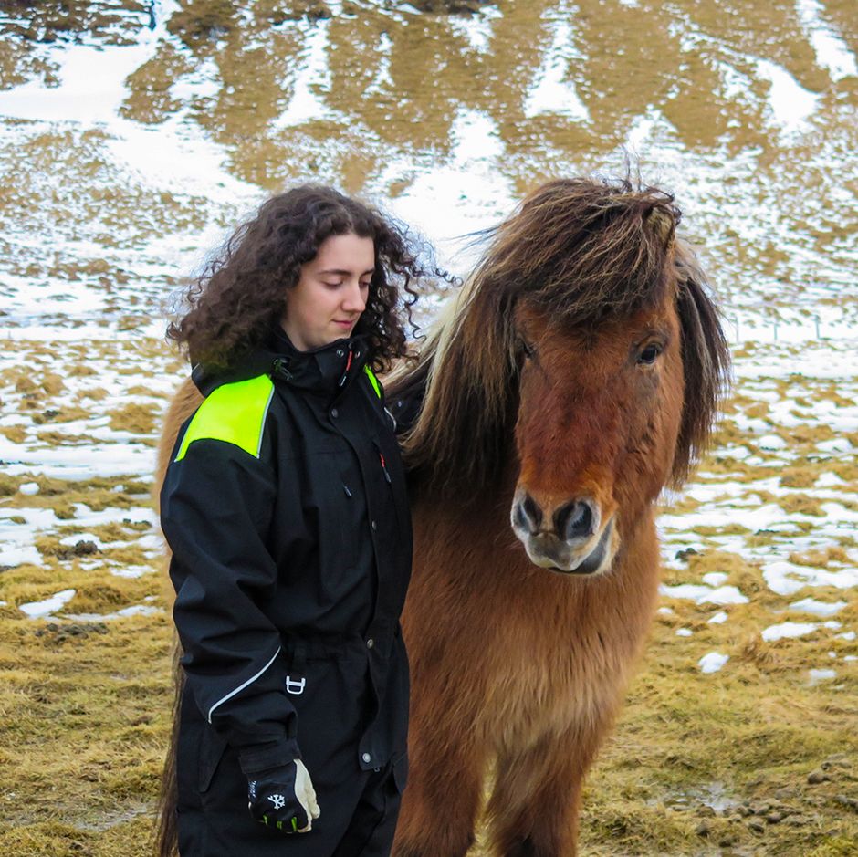 Mynd sem tengist textanum