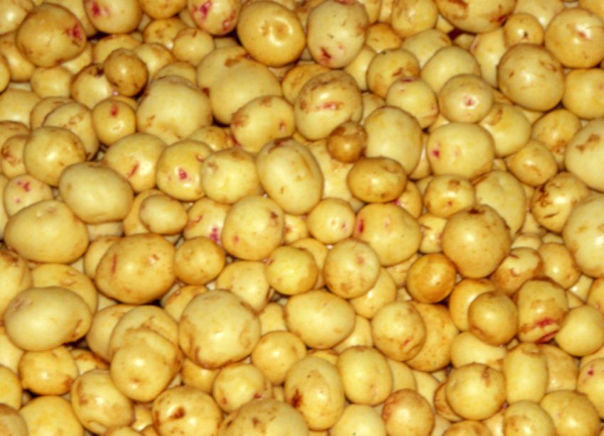 Mynd sem tengist textanum