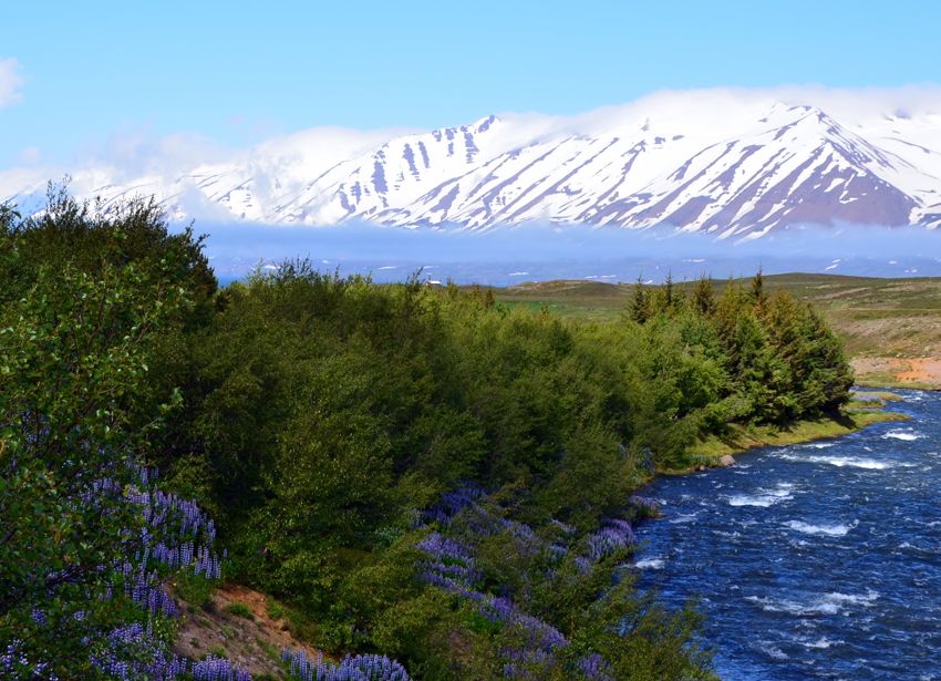 Mynd sem tengist textanum