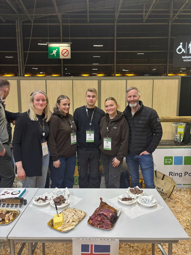 Mynd sem tengist textanum