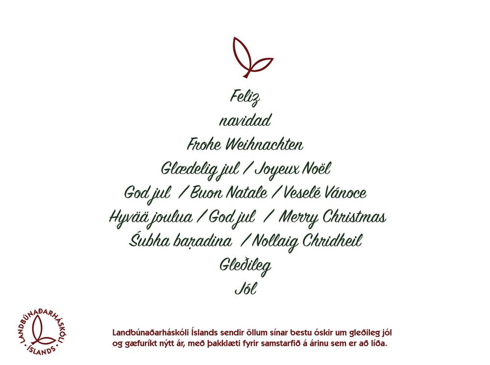 Gleðilega hátíð og farsæld á nýju ári