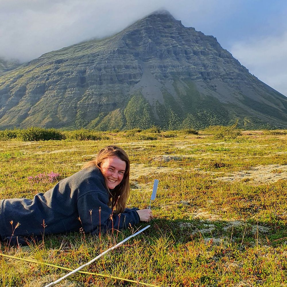 Mynd sem tengist textanum