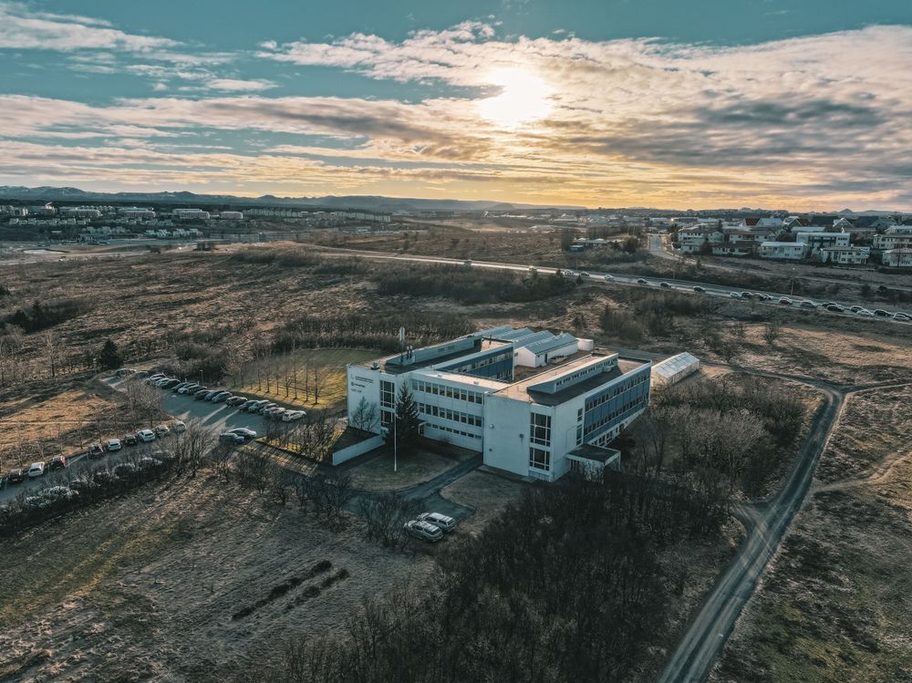 Mynd sem tengist textanum