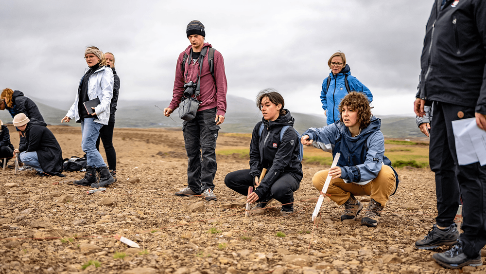 Mynd sem tengist textanum