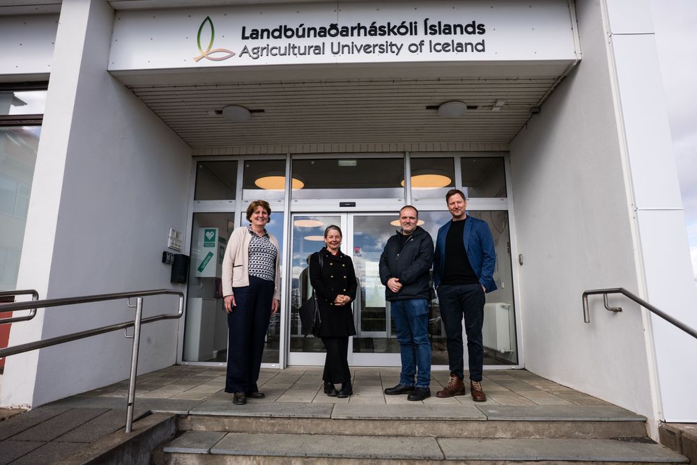 Mynd sem tengist textanum